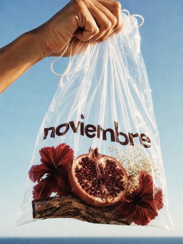 Granada abierta, hibisco y corteza de sauce